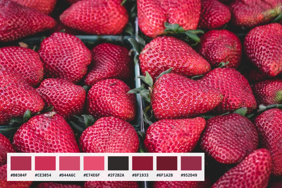 After: HEX / RGB / HSL on click · 8-colour palette